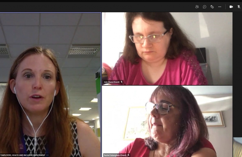 Screenshot of a webcall involving Alexander Stafford