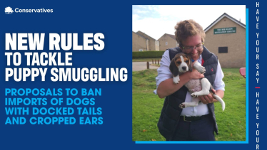 ALEXANDER STAFFORD MP WITH BEAGLE PUPPY